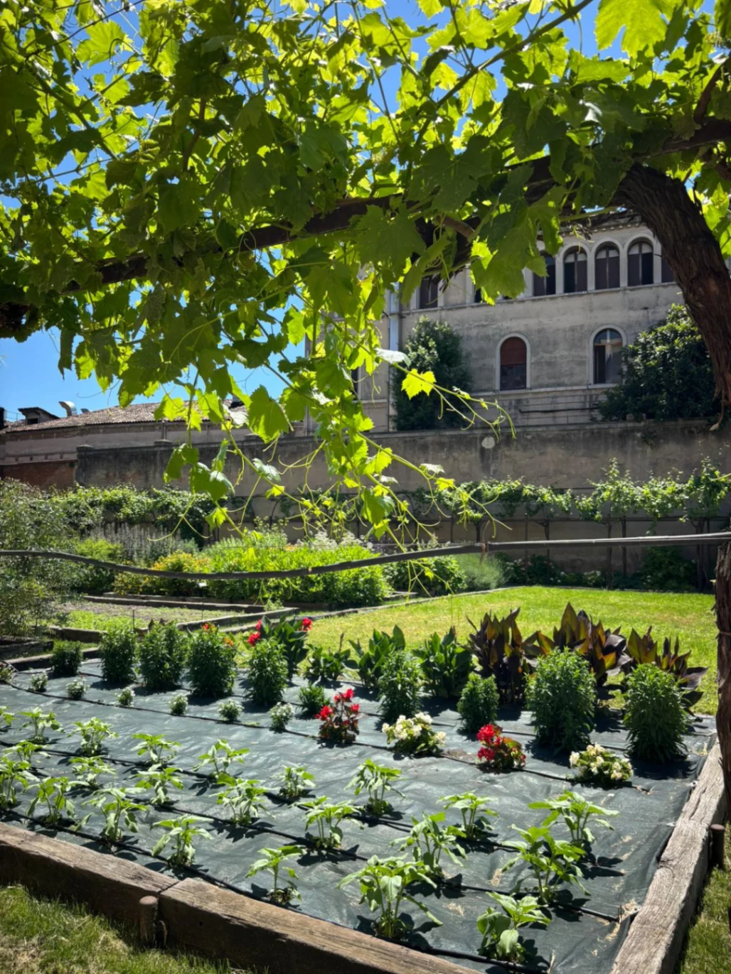 Uno scorcio dell'oasi verde e di pace del Giardino dei Carmelitani Scalzi di Venezia, a soli due passi dalla stazione centrale.