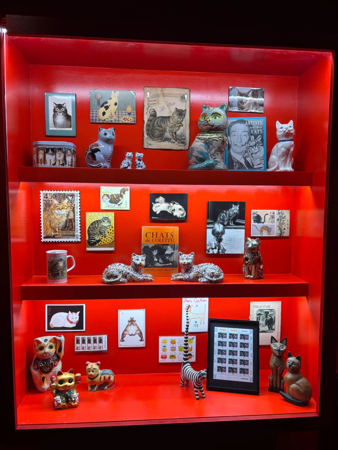 Tra i vari oggetti in mostra, particolarmente curiosa è la teca con gli oggetti che Agnès Varda collezionava per nutrire la sua passione per i gattini.