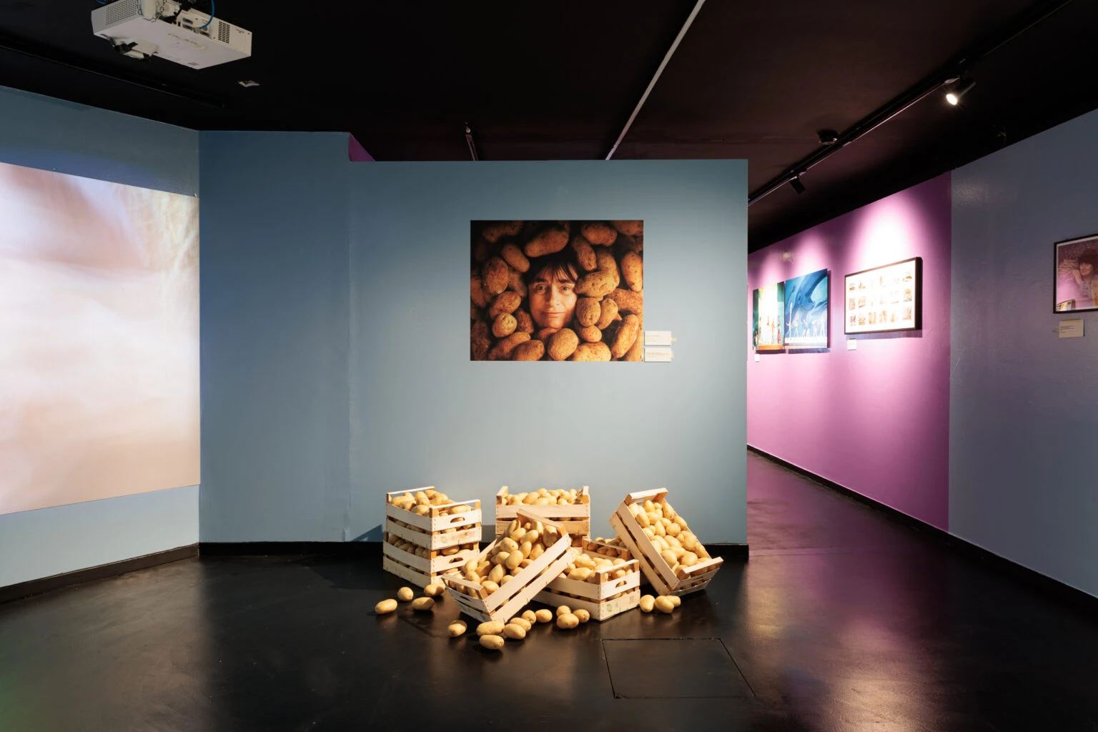 Panoramica di uno degli ambienti della mostra "Viva Varda! Il cinema è donna" nella Galleria Modernissimo, a Bologna.