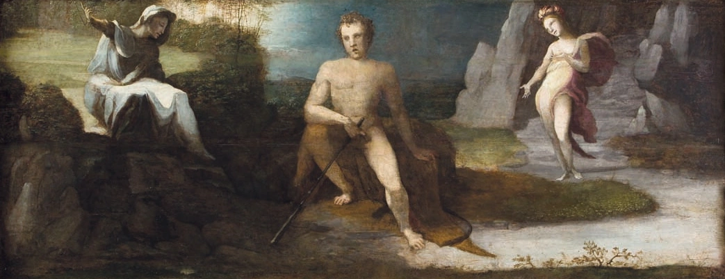 cover Domenico Beccafumi e l'alchimia