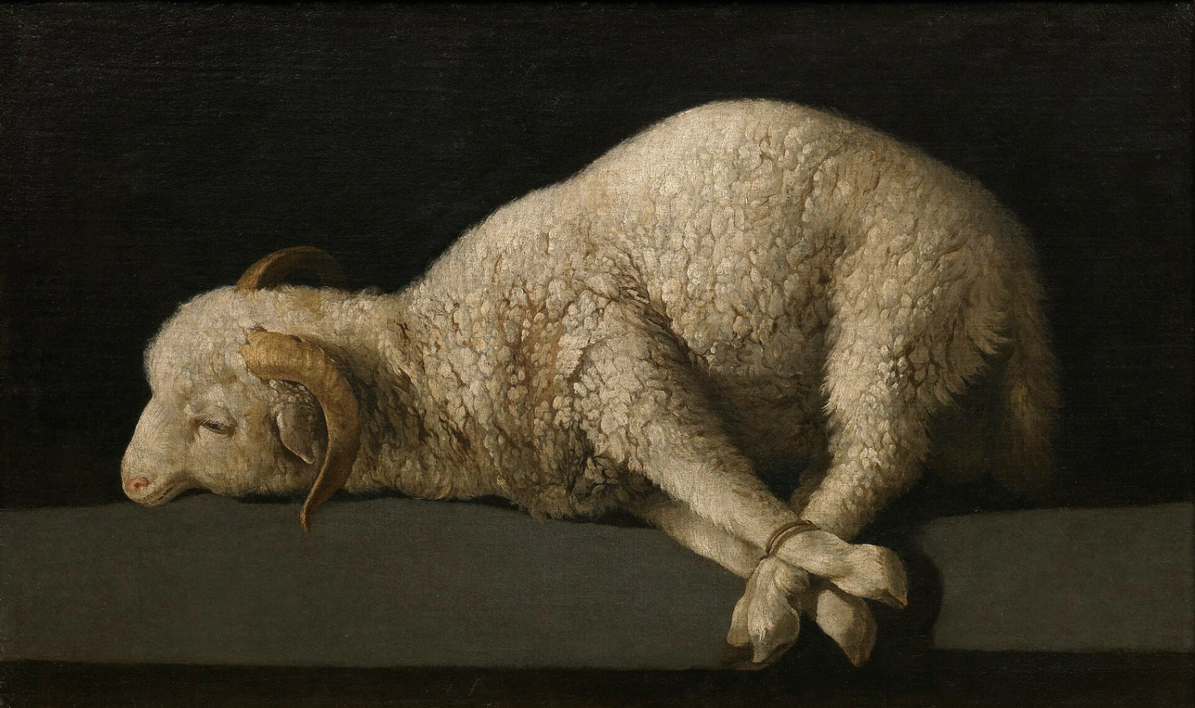 Francisco de Zurbarán, Agnus Dei, 1635-1640 circa, olio su tela, 38 × 62 cm, Museo del Prado, Madrid.