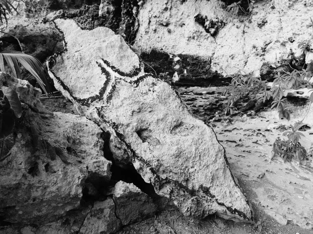 cover Ana Mendieta: ricerca viscerale tra body art, land art e performance