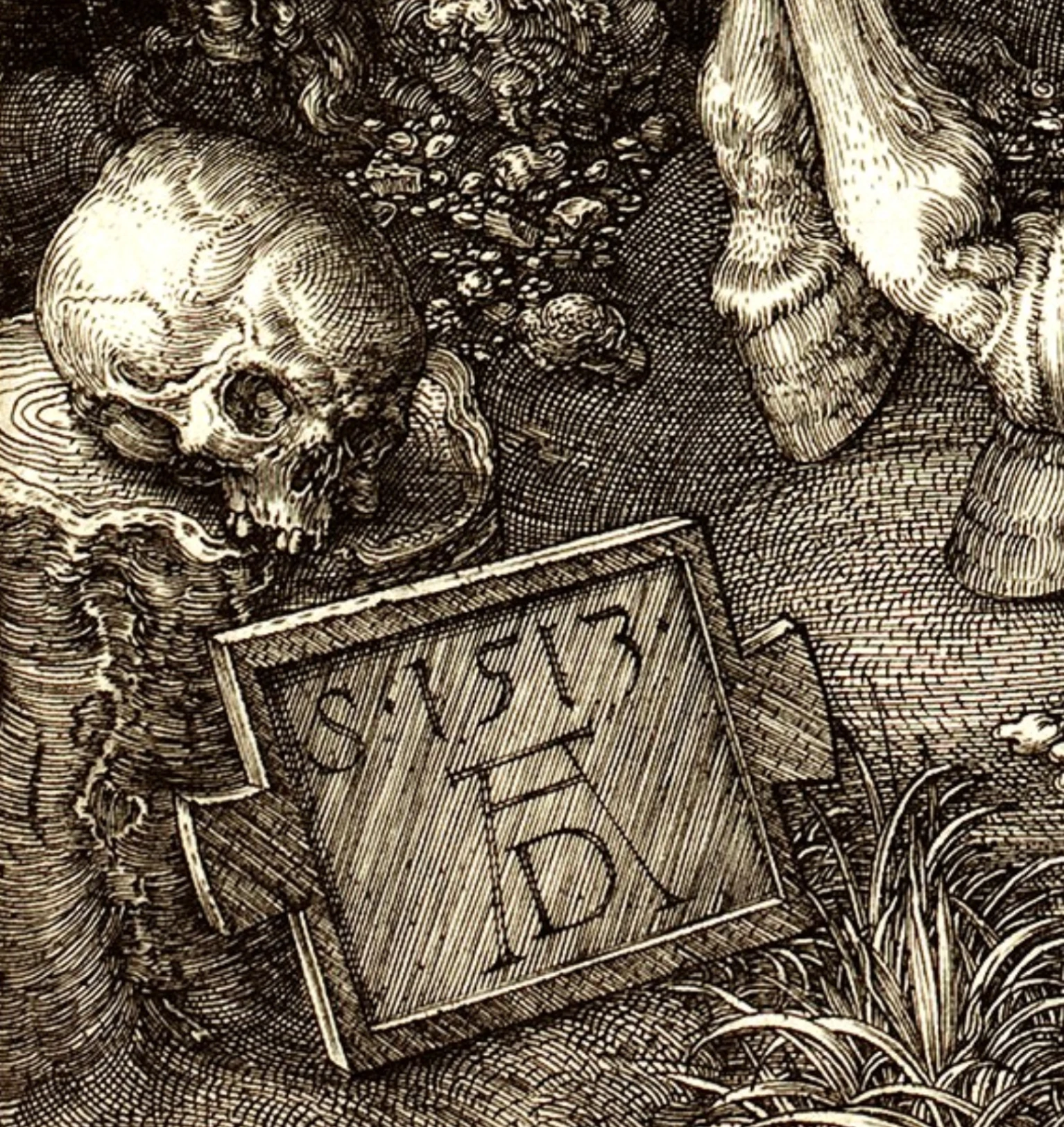 cover Il Cavaliere, la Morte e il Diavolo di Albrecht Dürer