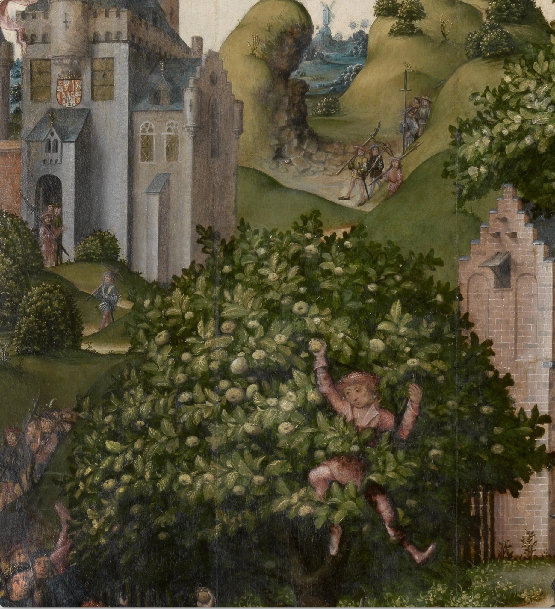 Dettaglio di un personaggio intento a raccogliere frutta da un albero.