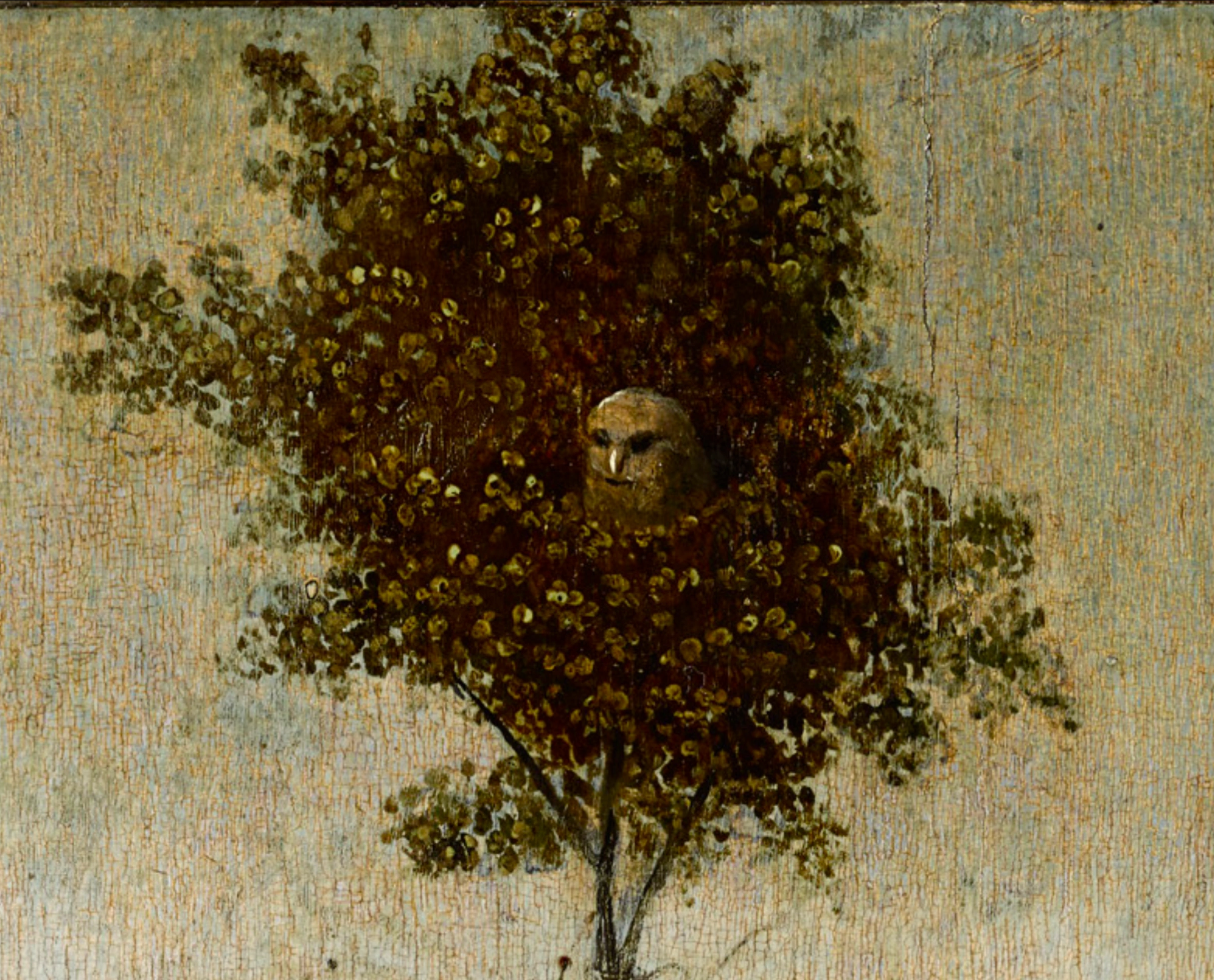 Hieronymus Bosch, La Nave dei Folli, 1494 circa, olio su tavola, 57,9 × 32,6 cm, Parigi, Museo del Louvre. Dettaglio del gufo.