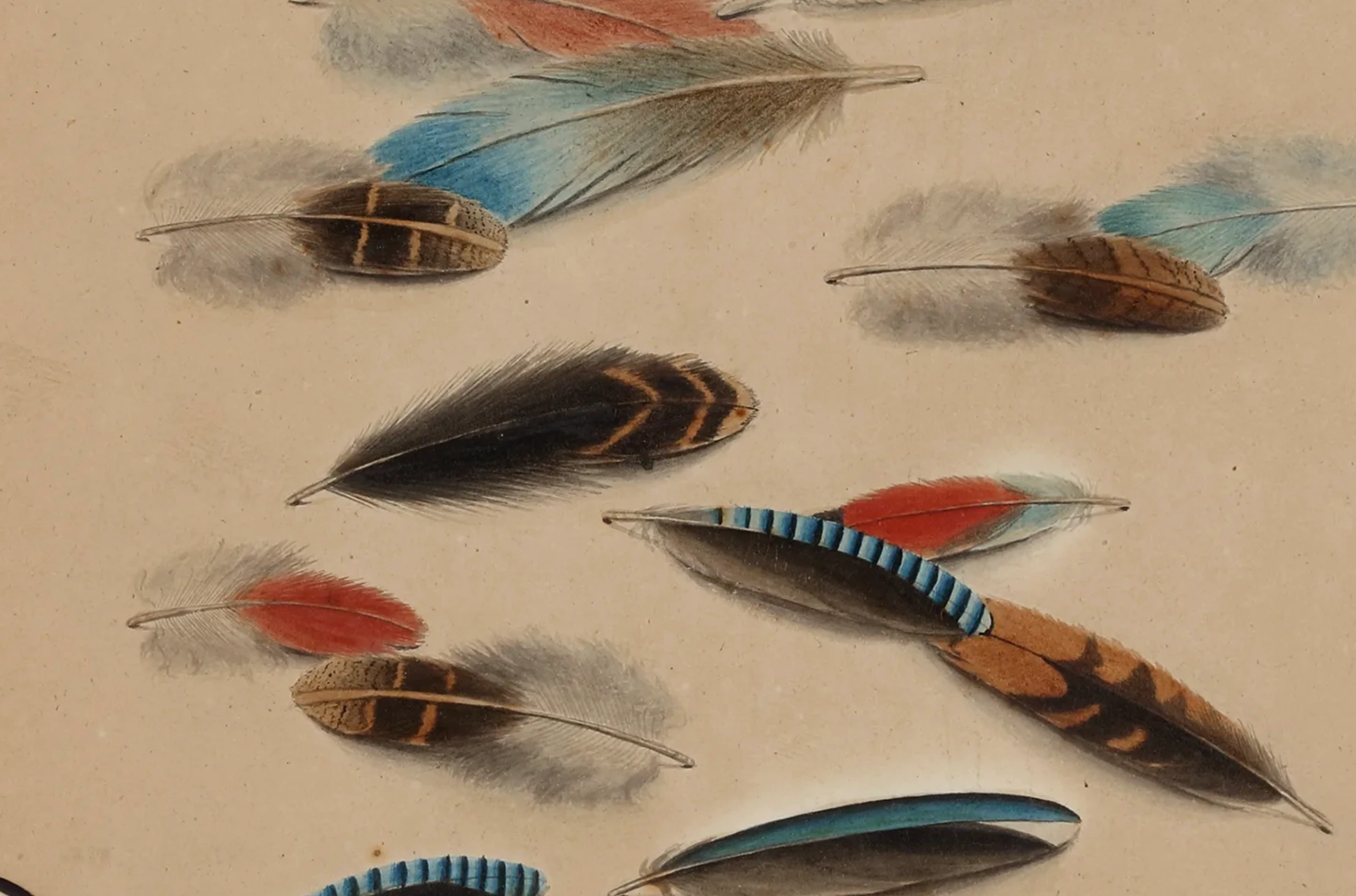 cover Sarah Biffin: la storia della pittrice che dipingeva "con i piedi" e conquistò la Royal Academy