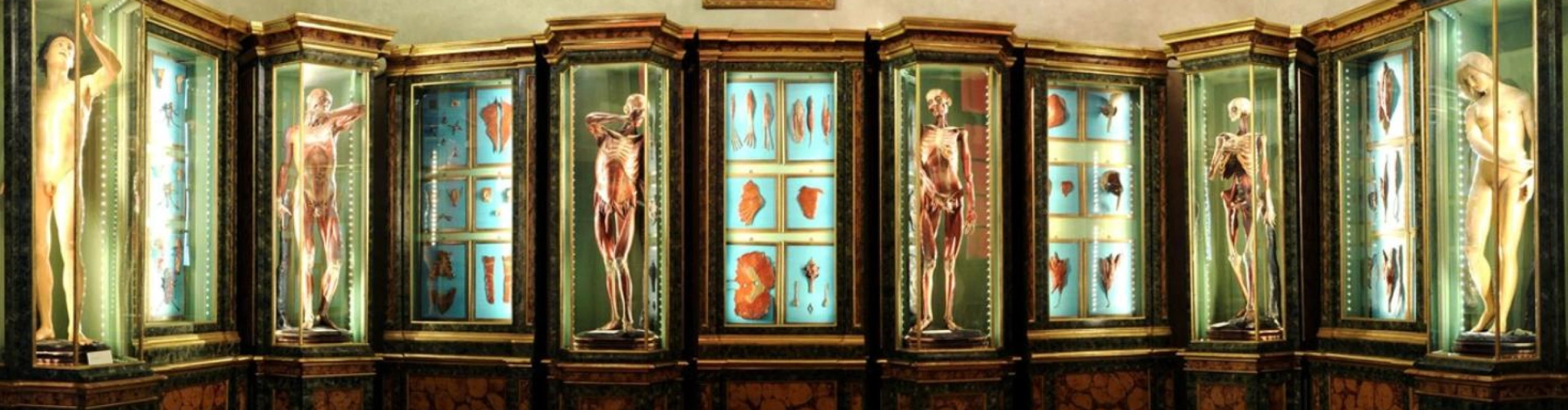 cover Anna Morandi Manzolini e Anna Fortino: artiste della ceroplastica 