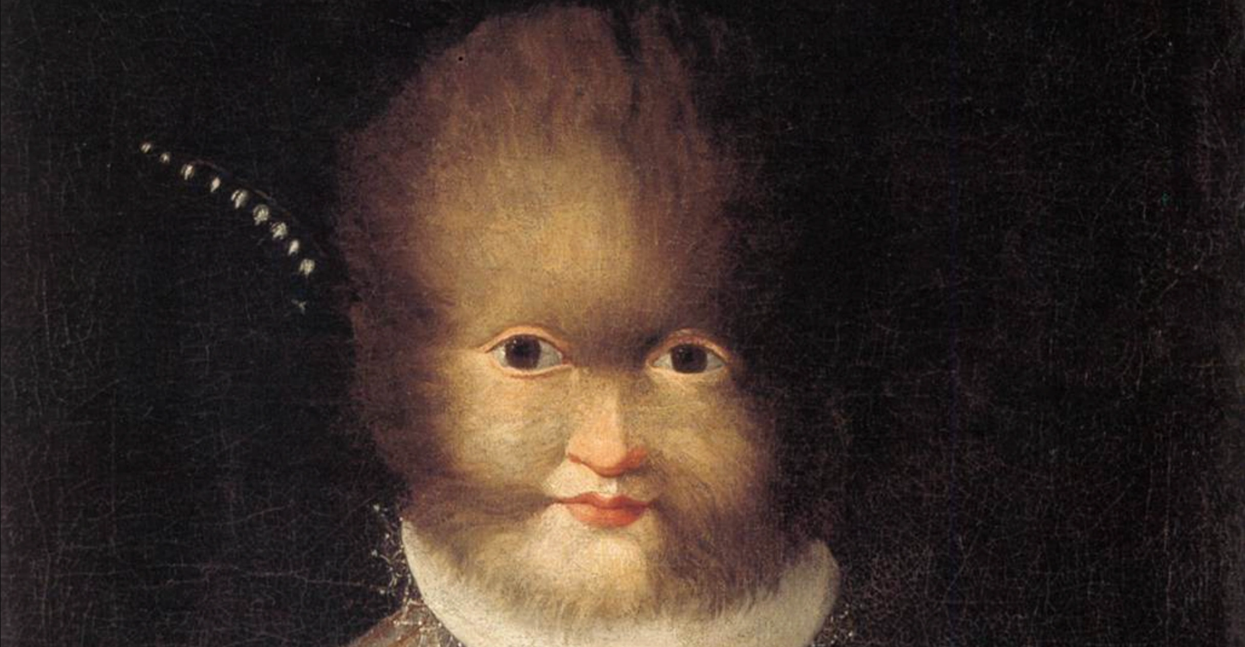 cover Il Ritratto di Antonietta Gonzales di Lavinia Fontana: la dignità dell'ipertricosi