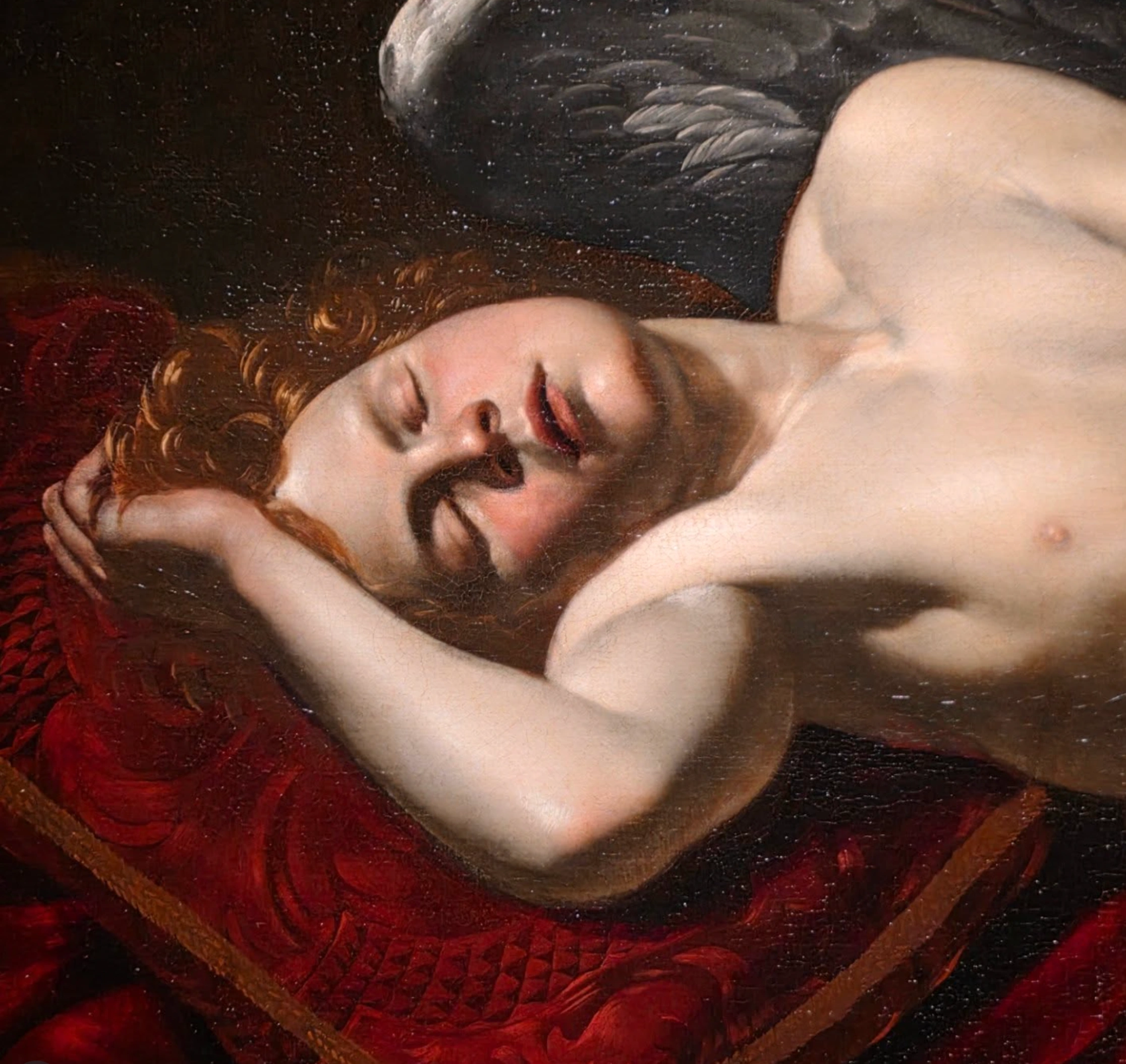 cover "Barocco – Il Gran Teatro delle Idee": la mostra da non perdere a Forlì