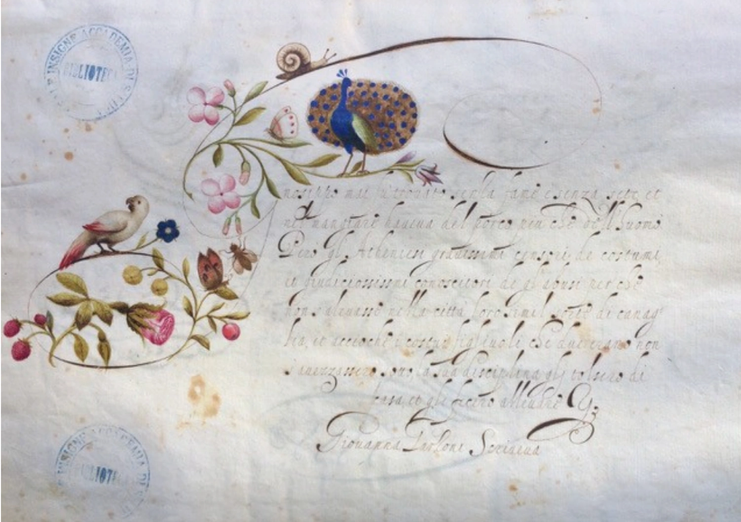Giovanna Garzoni, Galeone in mare, foglio dal "Libro de' caratteri cancellereschi corsivi", 1617-1622 circa, Accademia di San Luca, Roma.