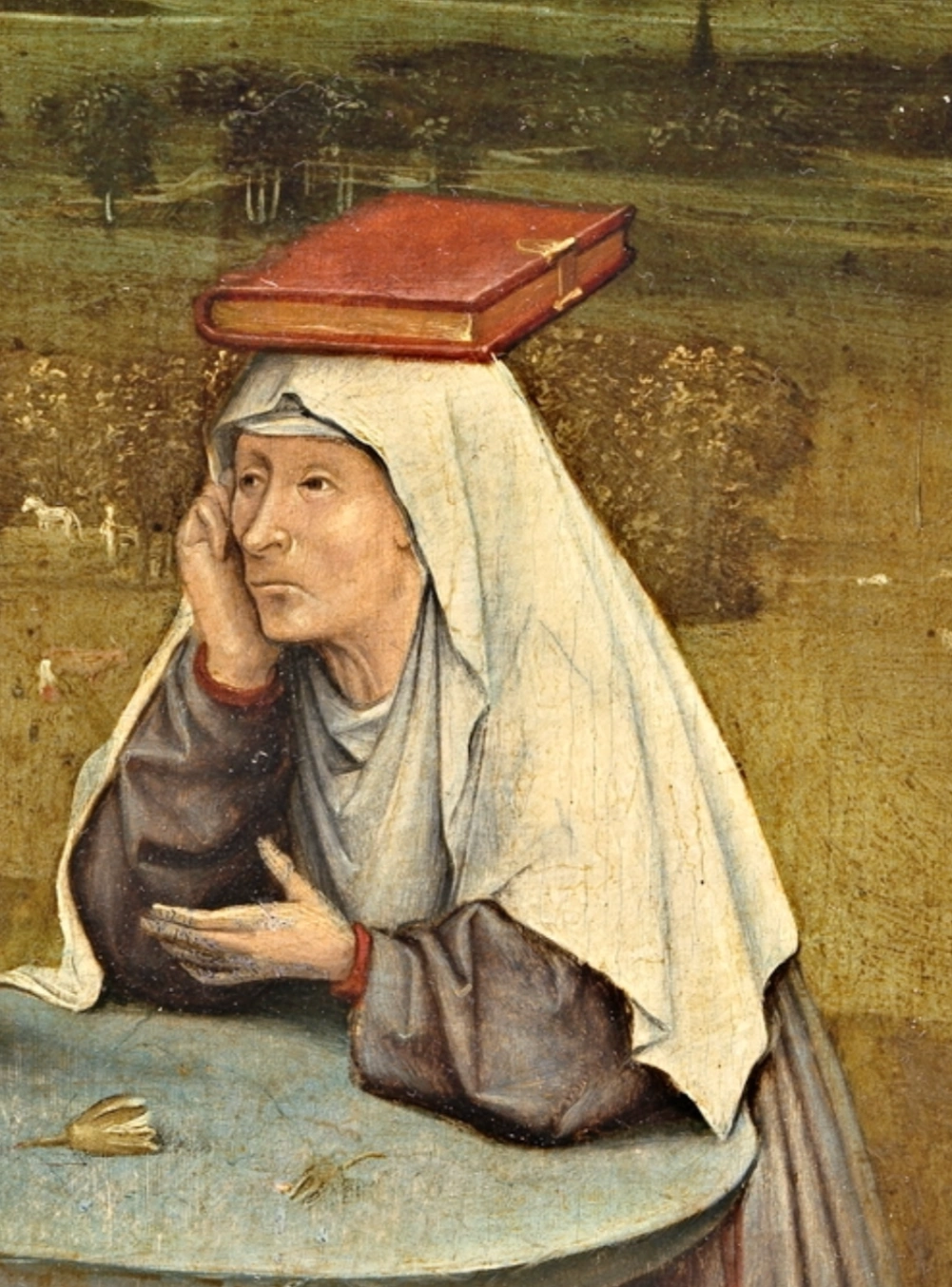Hieronymus Bosch, L'estrazione della pietra della follia, 1494 circa, olio su tavola, 48 × 35 cm, Museo del Prado, Madrid. Dettaglio della donna con il libro chiuso sulla testa.