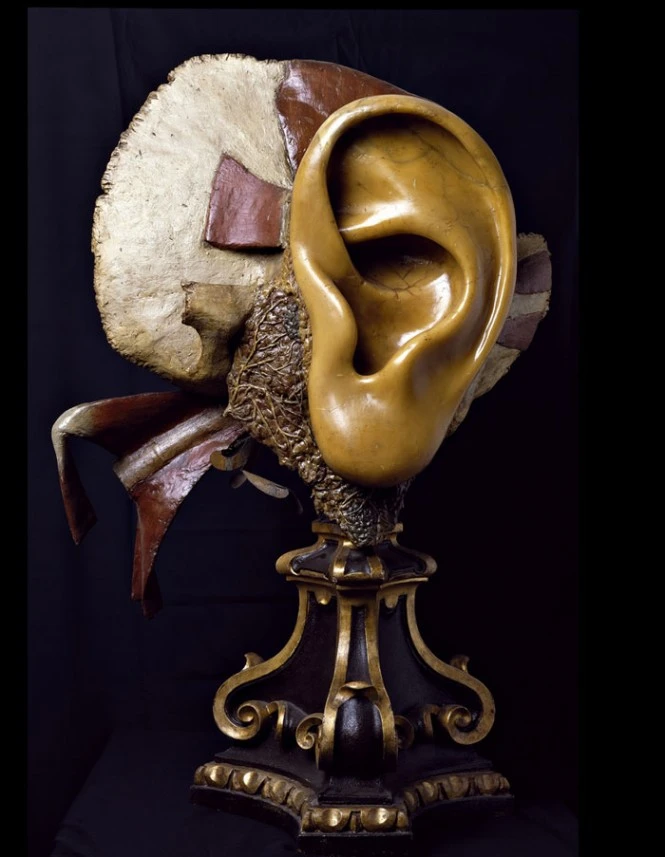 Anna Morandi Manzolini, Orecchio, cera, Museo di Palazzo Poggi, Università di Bologna.