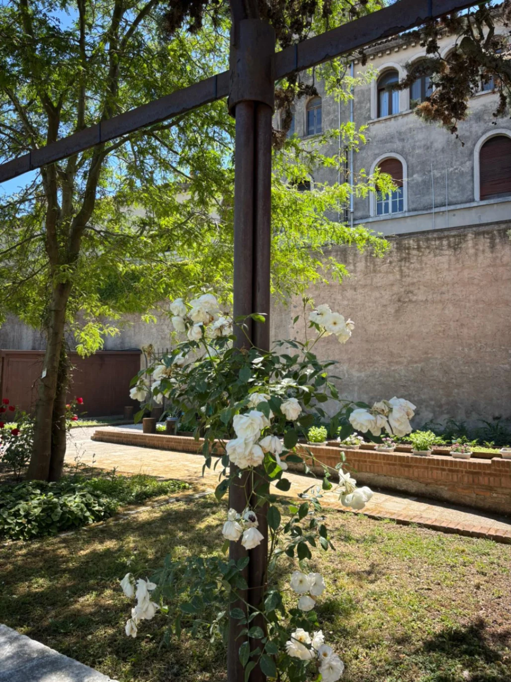 Un altro delizioso scorcio del Giardino dei Carmelitani Scalzi di Venezia: tra roseti, vigne, piante aromatiche e officinali.