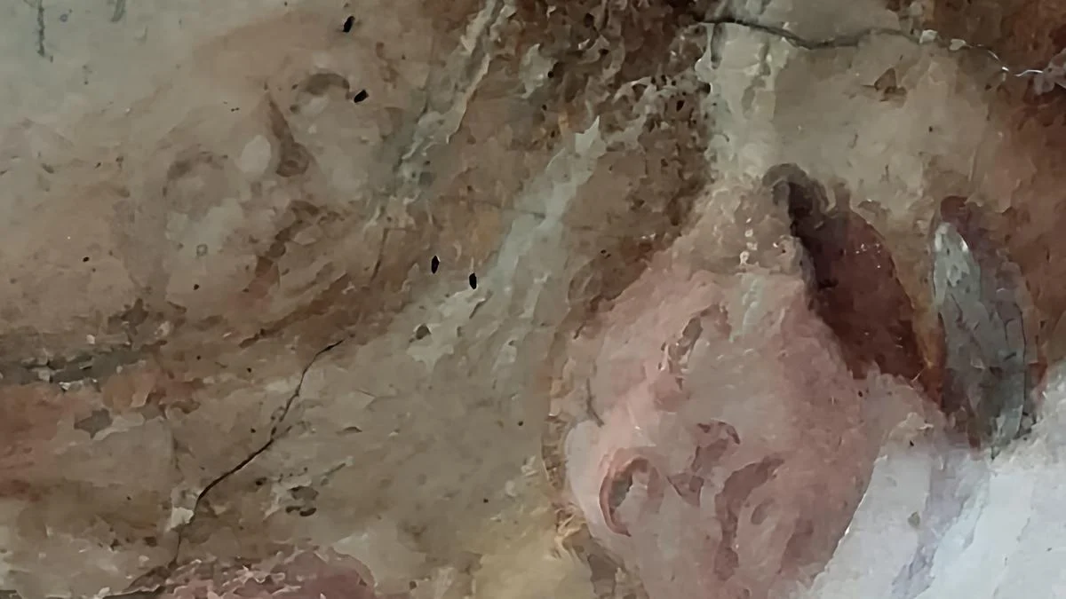 Particolare che rivela la possibile presenza degli affreschi incompiuti di Guido Cagnacci, sotto le pitture di Carlo Cignani © Il Resto del Carlino